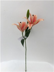JA89LCM-HZ018-3<br />
Col: #59DKOR<br />
25" LILY TIGER BUSH