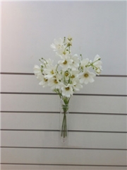 JA87FC230<br />
Col: #H038<br />
21" COSMOS SPRAY