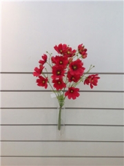 JA87FC230<br />
Col: #H055<br />
21" COSMOS SPRAY