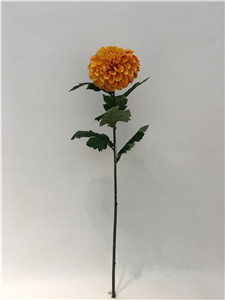 29.5