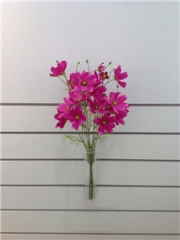 JA87FC230<br />
Col: #H066<br />
21" COSMOS SPRAY