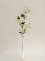 JA98PG8079<br />
Col: #01WH<br />
35" PEACH BLOSSM SPARY