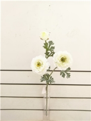 JA20YX1802004<br />
Col: #K005<br />
18" POPPY BUSH