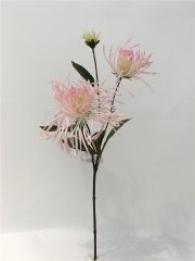 JA98PG8078R<br />
Col: #15LGFU<br />
26" CHRYSANTHEMUM SPRAY
