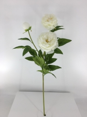 JA60A8431-1<br />
Col: #002<br />
30" PEONY BRANCH