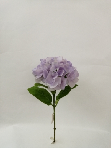 18.5
