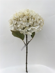 JA89LCM-HY1920<br />
Col: #WH004<br />
29" GIANT HYDRANGEA SPRAY