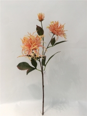 JA98PG8078R<br />
Col: #05GO<br />
26" CHRYSANTHEMUM SPRAY