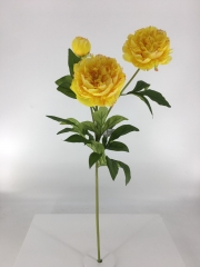 JA60A8431-1<br />
Col: #113<br />
30" PEONY BRANCH