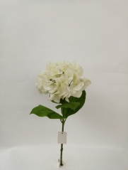 JA20YX191001<br />
Col: #L007E<br />
18.5" HYDRANGEA SPRAY