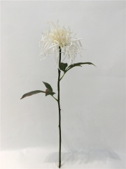 JA98PG8078-1R<br />
Col: #16YW<br />
26" CHRYSANTHEMUM SPRAY
