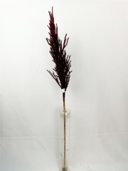 JA31GH0058<br />
Col: #Y211