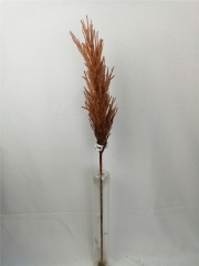 JA31GH0058<br />
Col: #Y210