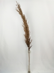 JA31GH0058<br />
Col: #Y119