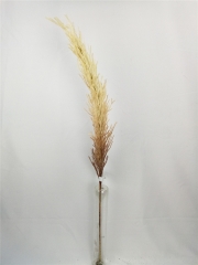 JA31GH0058<br />
Col: #Y100