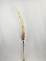 JA31GH0058<br />
Col: #Y106