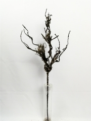 JA78BY2373<br />
Col: #E539