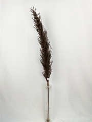 JA31GH0058<br />
Col: #Y102