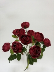 JA61JYD19<br />
Col: #R0001