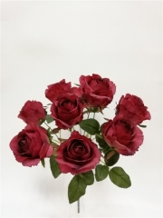 JA61JYD20<br />
Col: #R0001