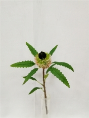 JA145-XH10013<br />
Col: 001