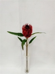 JA145-XH10016<br />
Col: 003