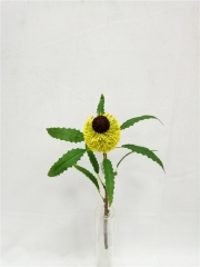 JA145-XH10013<br />
Col: 005
