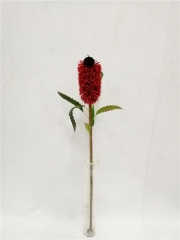 JA145-XH10017<br />
Col: 003