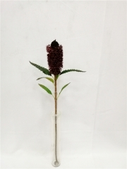 JA145-XH10017<br />
Col: 006