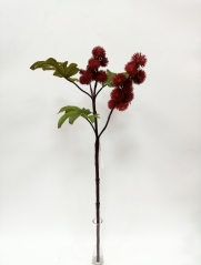 JA0114577<br />
Col: RD