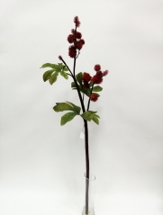 JA0114578<br />
Col: RD