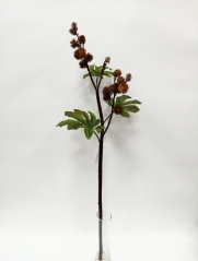 JA0114578<br />
Col: BR
