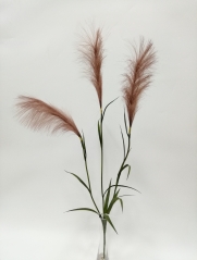 JA0114579<br />
Col: MV