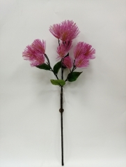 JA0160180<br />
Col: LV