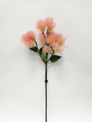 JA0160180<br />
Col: PK