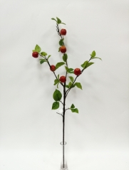 JA0160167<br />
Col: RD