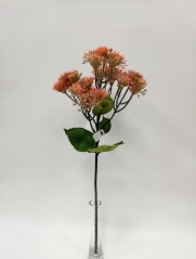 JA0160177<br />
Col: OR