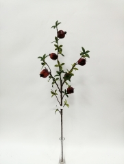 JA0160176<br />
Col: BU