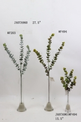 2021XAMS-JA0710<br />
Col:
