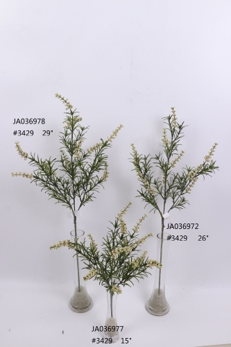 2021XAMS-JA0304