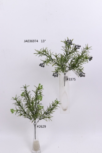 2021XAMS-JA0307