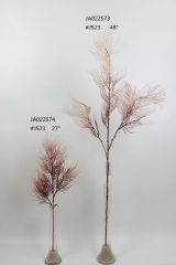 2021XAMS-JA0219<br />
Col:
