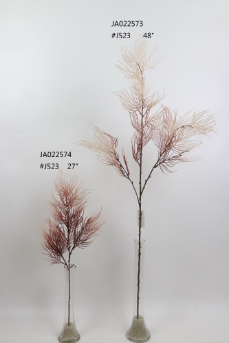 2021XAMS-JA0219