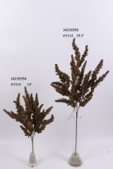 2021XAMS-JA0313<br />
Col: