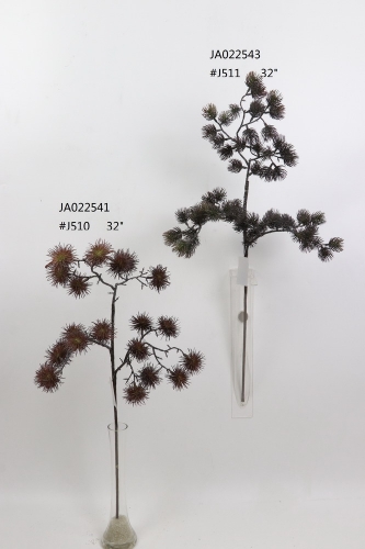 2021XAMS-JA0221