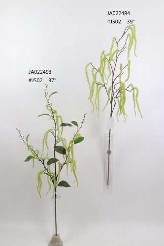 2021XAMS-JA0222