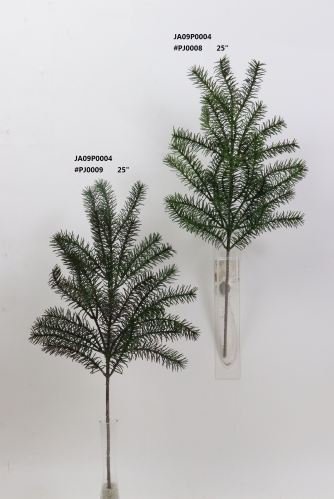 2021XAMS-JA0903