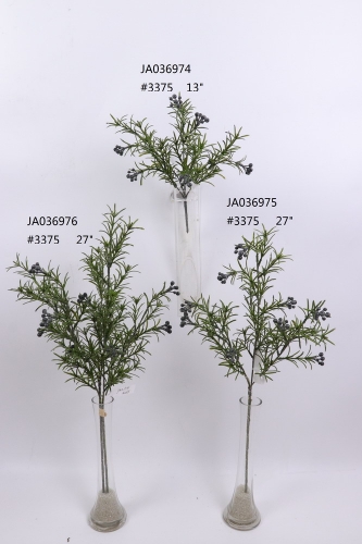 2021XAMS-JA0306