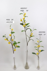 2021XAMS-JA0211<br />
Col:
