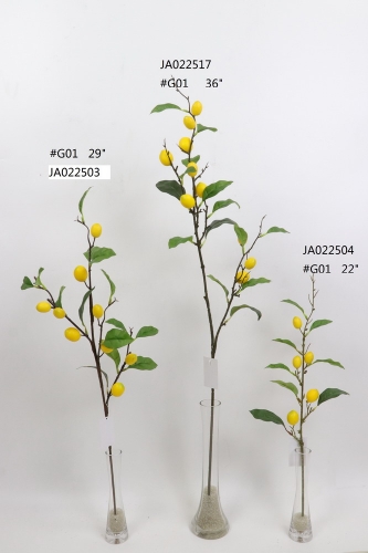 2021XAMS-JA0211